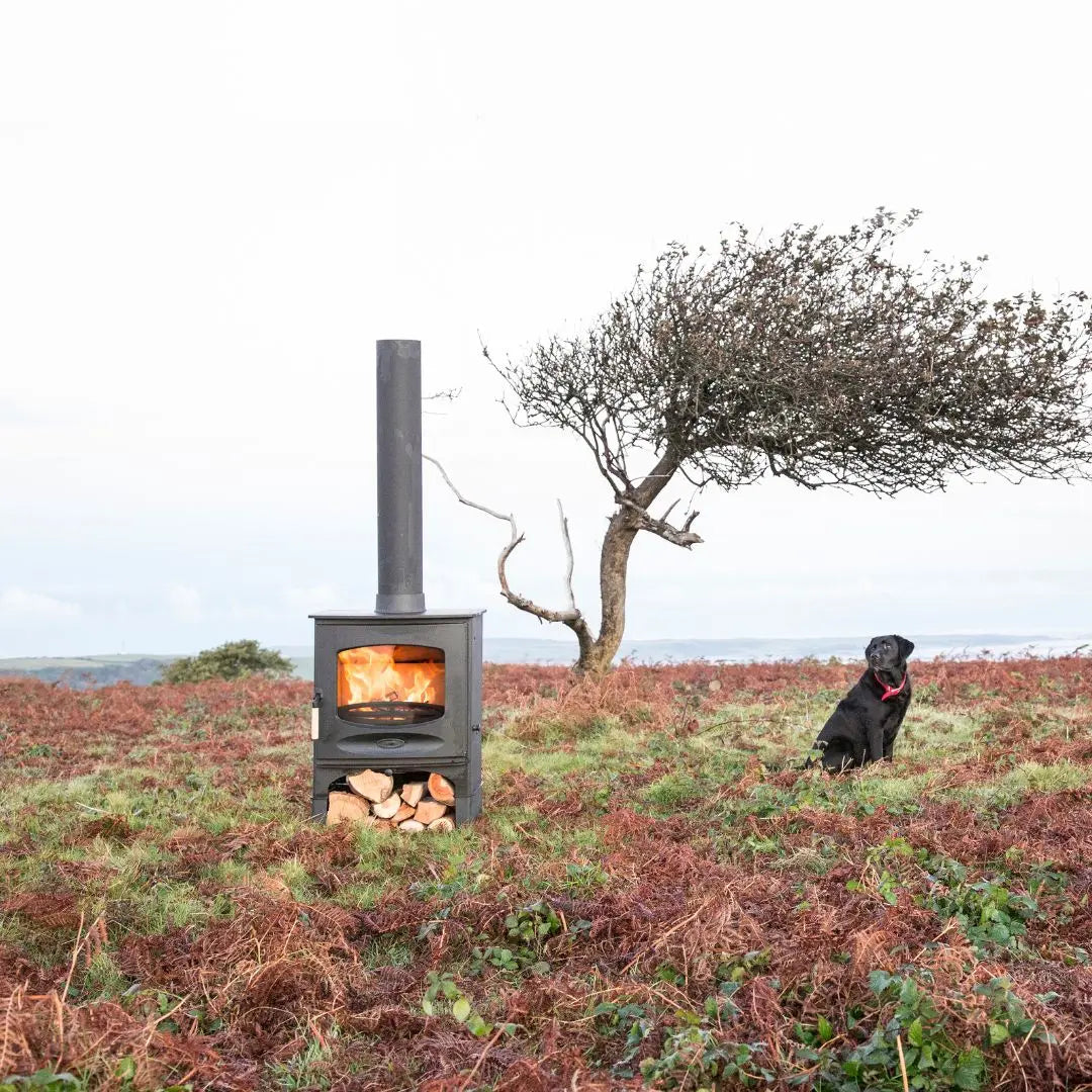 Charnwood C-Seven Blu Wood Burning Stove - 7.1 kW
