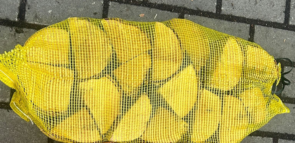 Kiln Dried BirchLogs - 40L x 88 Net Bags