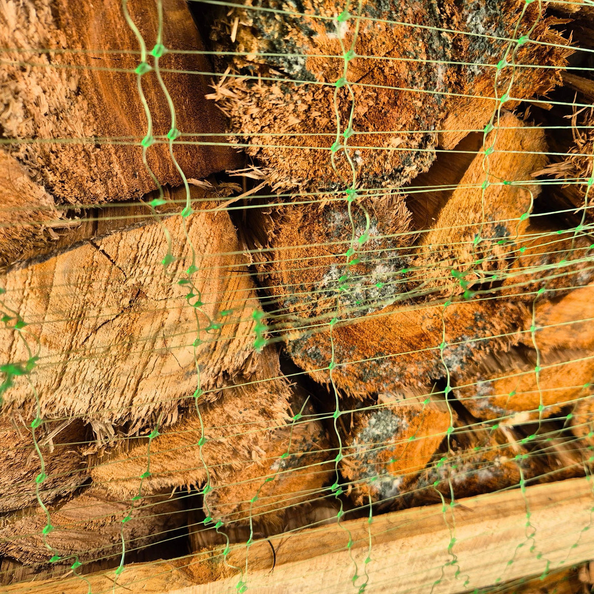 Kiln Dried Premium Hardwood Firewood Standard Crate B-Grade