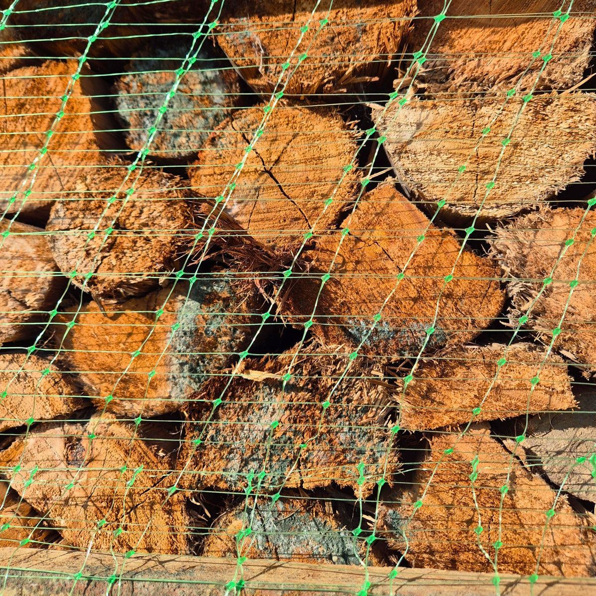 Kiln Dried Premium Hardwood Firewood Standard Crate B-Grade